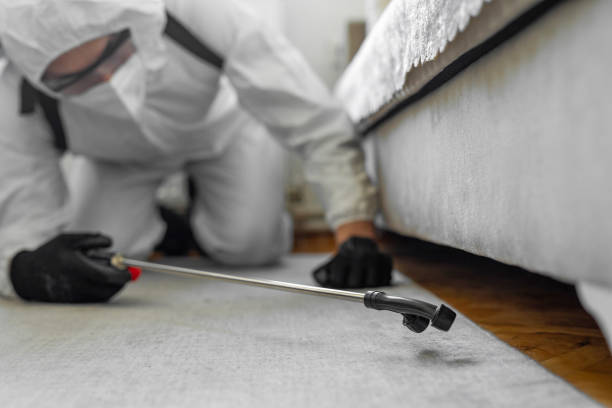 Professional Mosquito Control technician working in Essex County County, NY